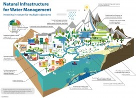 Natural infrastructure for water management. IUCN