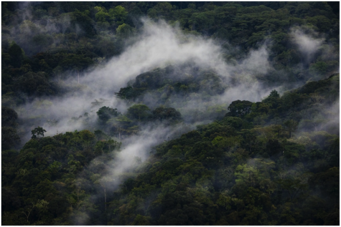 Clouds rise through Bwindi Impenetrable National Park, home to the endangered mountain gorilla. Photo by: Benjamin Drummond. Conservation International