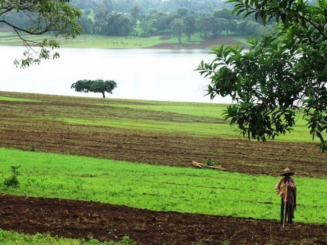 Farmers cultivate land next to a reservoir. Photo: Matthew McCartney