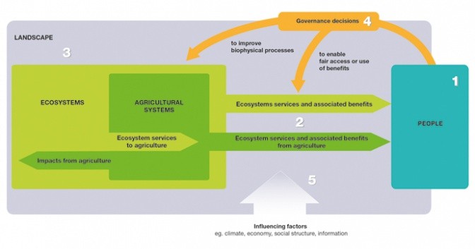 Ecosystem Services and Resilience Framework