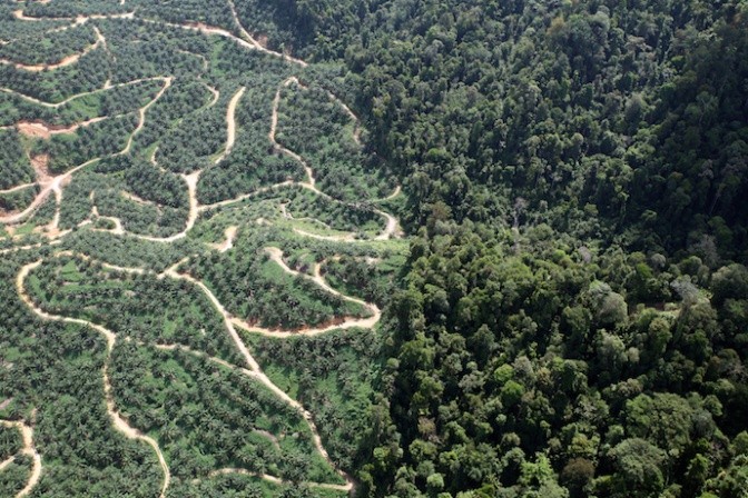 The siting tool is being used to guide land use planning in oil palm - forest landscapes