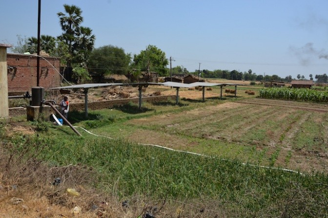 Solar pumps in the fields of the Nalanda district in Bihar.  Photo: Tushaar Shah 