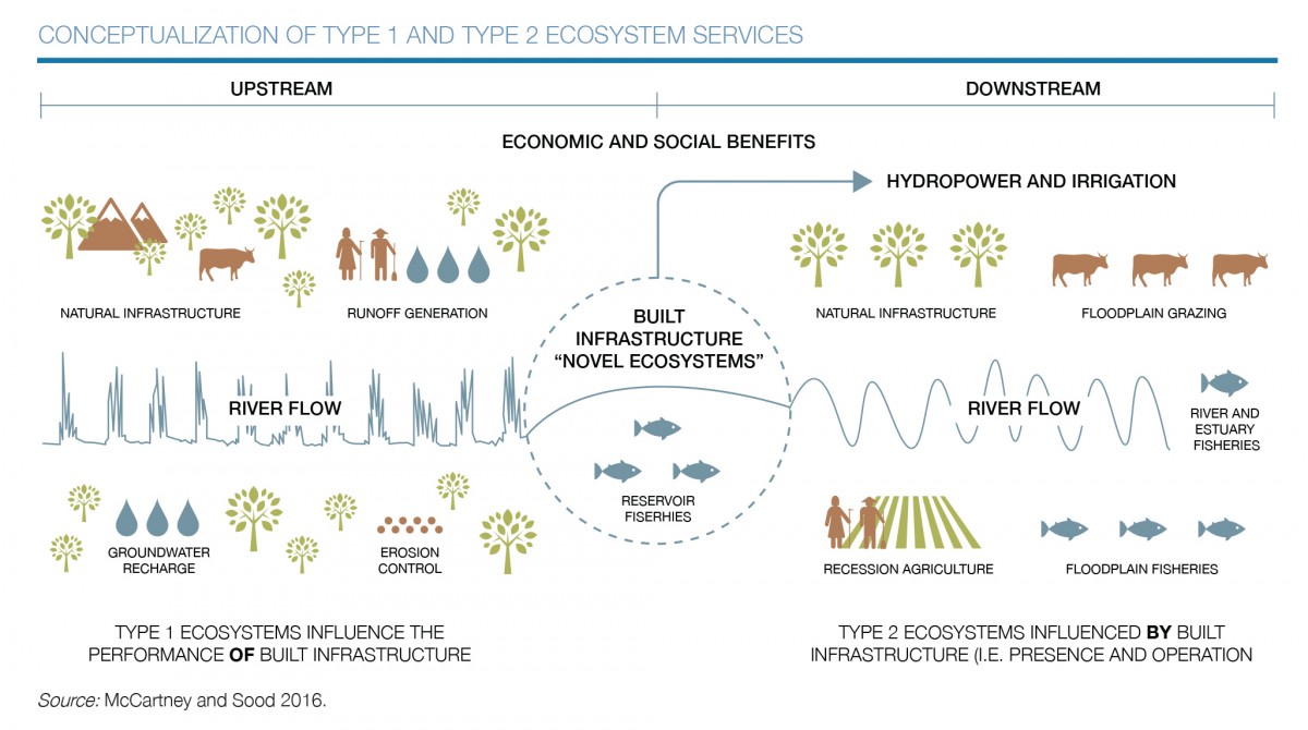 Type 1 and Type 2 ecosystem services