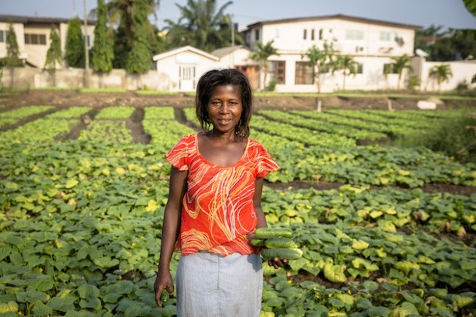 Vegetables grown using safe wastewater reuse practices in Ghana. Photo: Nana Kofi Acquah/IWMI