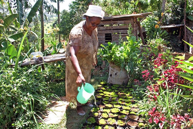 Jane Kabugi and her farm