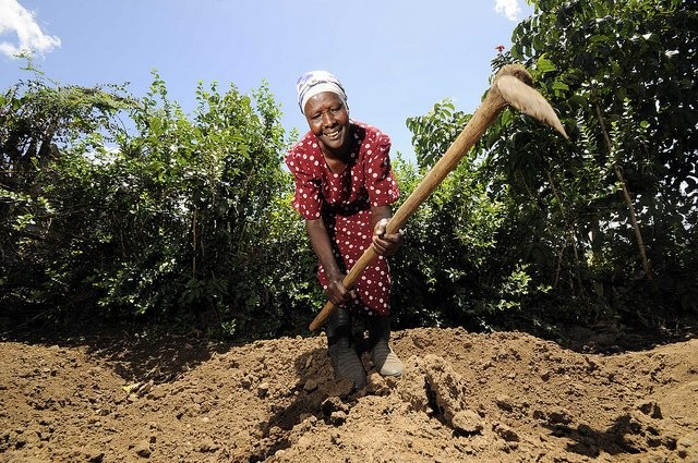 Restoring degraded soils in Kenya.  Photo Credit: Neil Palmer