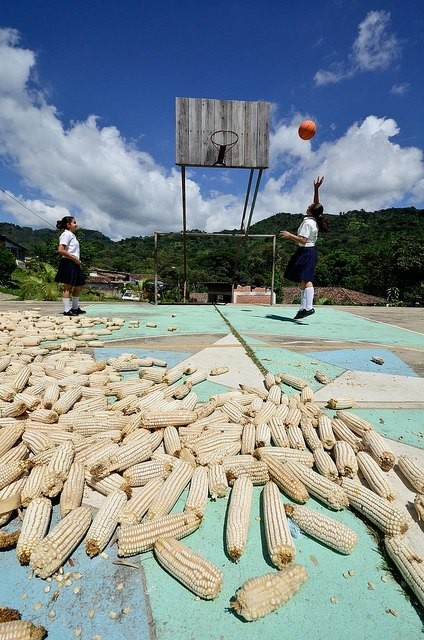 There is an increasing need for food production to respond and adapt to urbanization.  Photo Credit: Neil Palmer/CIAT