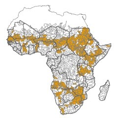 Map highlighting river basins in Africa with physical water availability constraints.  Credit: Hua Xie/IFPRI 