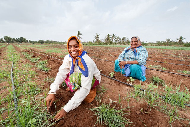 Women working on a farm in India. Photo: Hamish John Appleby/IWMI