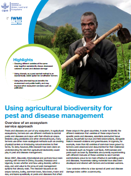 Using agricultural biodiversity for  pest and disease management