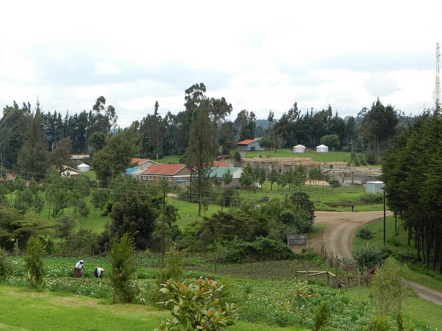 Naivasha landscape where over 50% of Kenya
