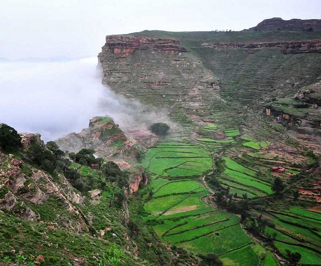 Terrace agriculture in Tigray, Ethiopia has improved production of previously degraded land. Photo: Rod Waddington on Flickr