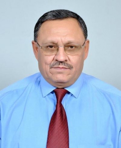 Alok Sikka, IWMI Representative – India.