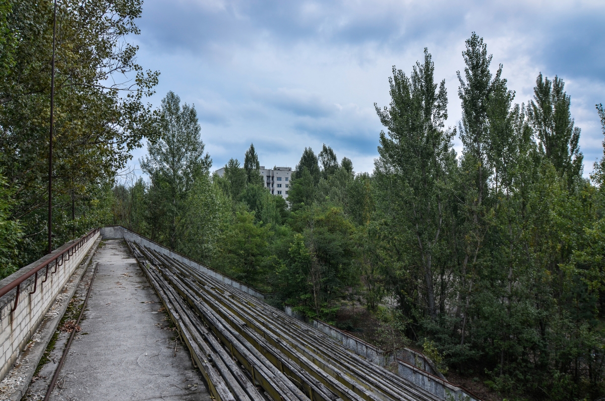 A soccer stadium at Chernobyl whose pitch has been filled with trees.