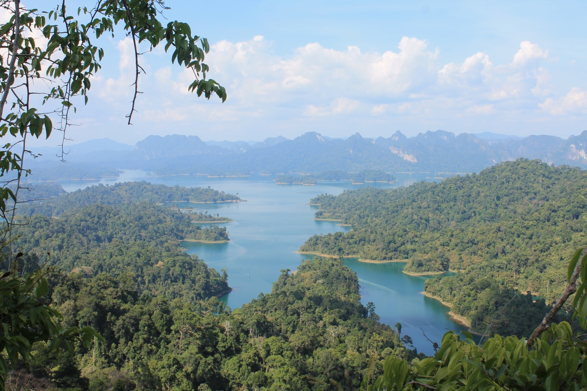 A forested reservoir catchment in Thailand.