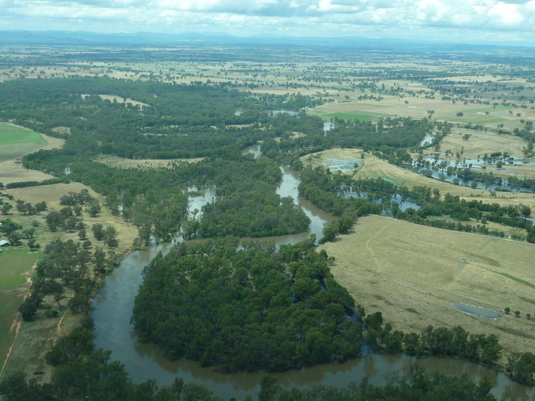 Floodplain wetlands can mediate flooding.