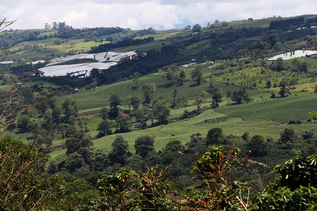 Landscape in Turrialba, Costa Rica