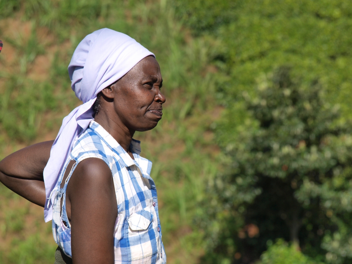 Kenyan farmer Rachel Njeri takes stock of her crops and the impacts of soil erosion