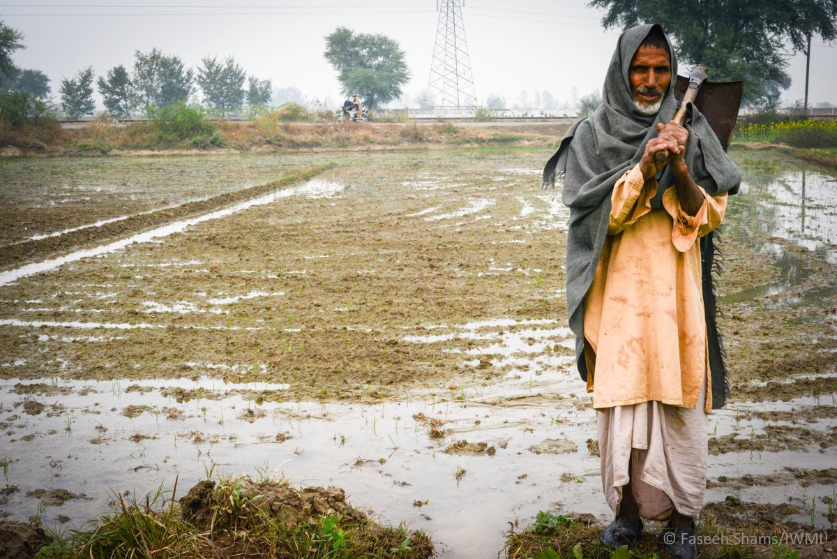 Improved water management enhances food security and economic development in Pakistan.