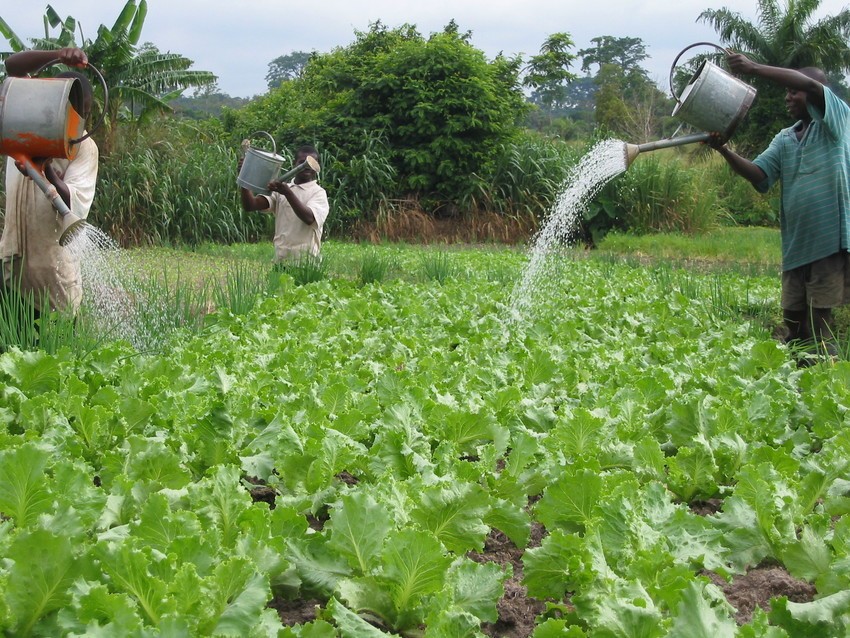 manual irrigation ghana