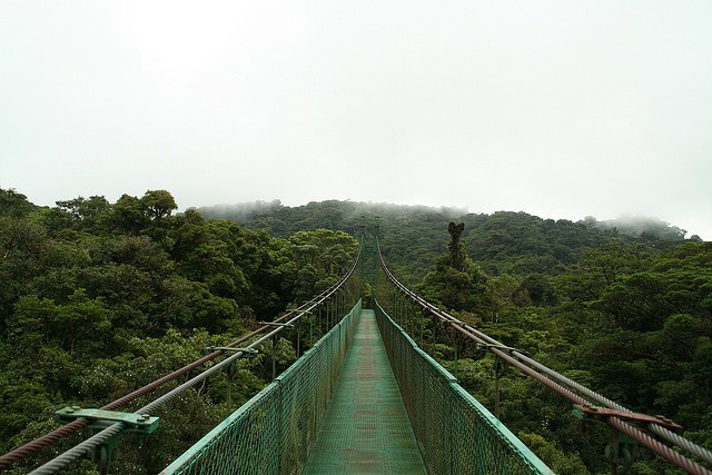 Canopy Bridge Costa Rica