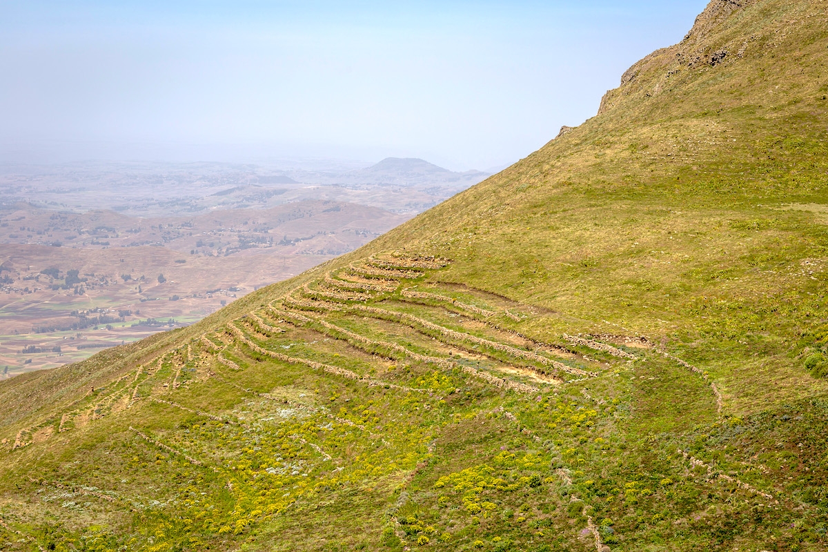 Terraced fields on the Yewol highlands.