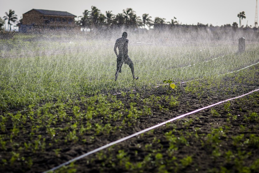 Sprinkler irrigation in Ghana