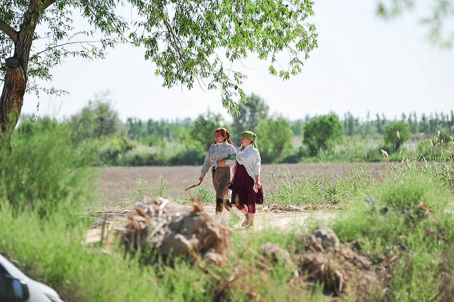 Women in the field in Central Asia.