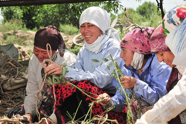 Women in the field in Central Asia.
