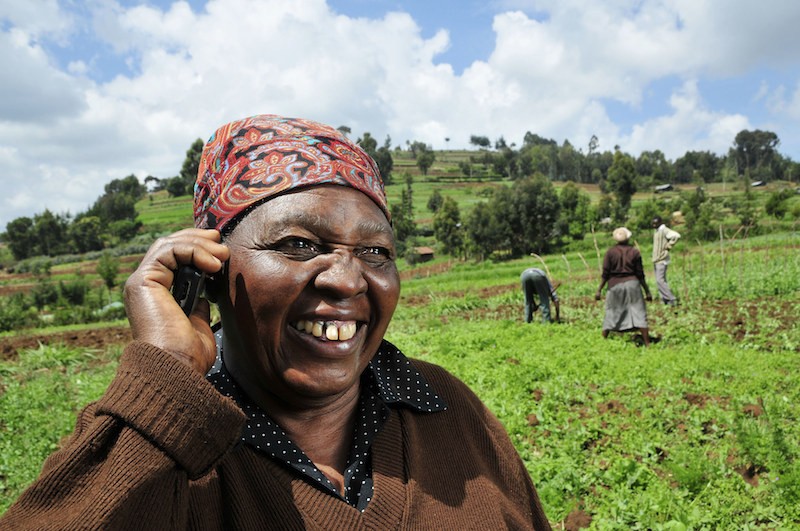 Farmer from the Mount Kenya region