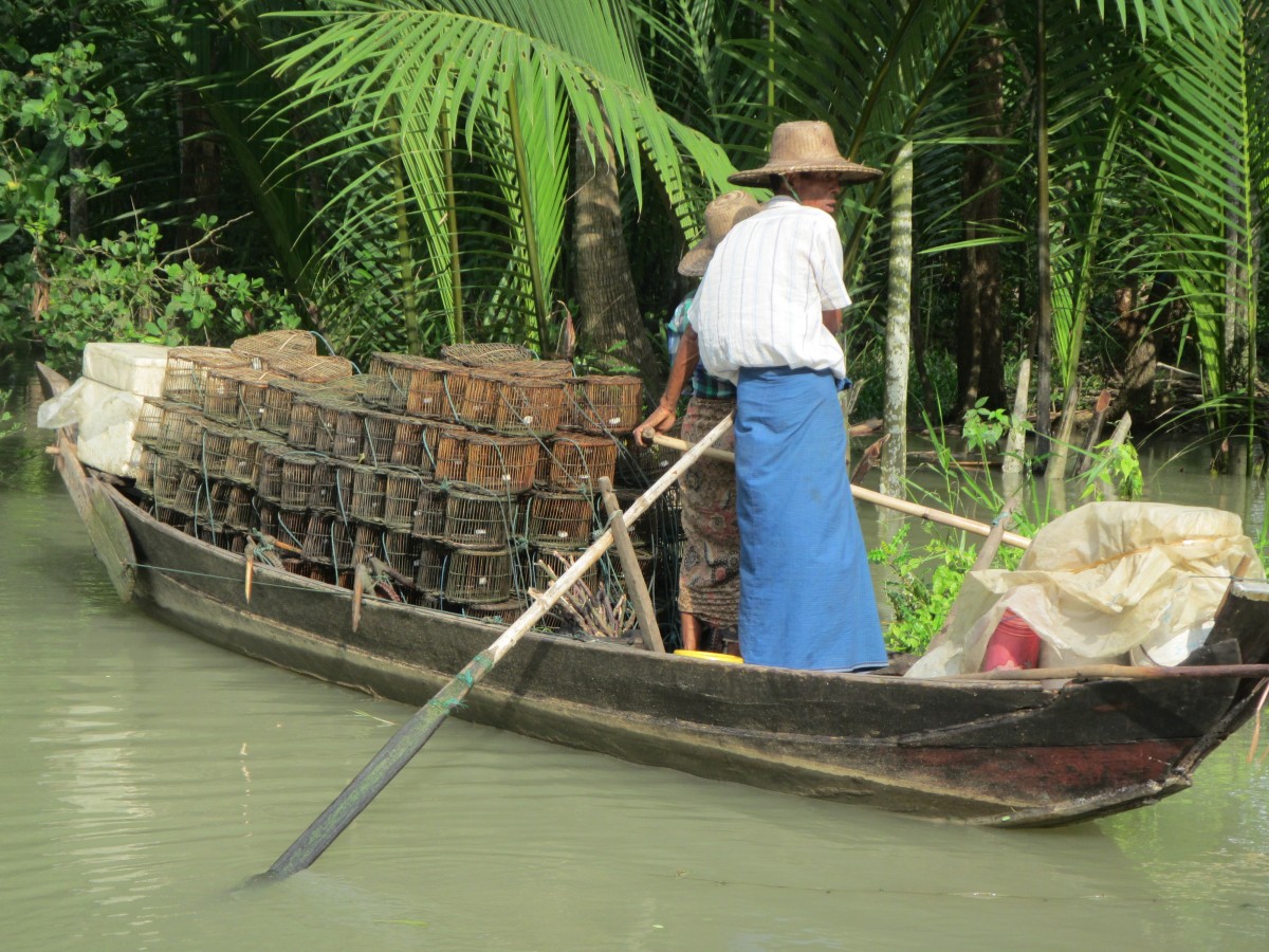 Freshwater fisheries are crucial for the livelihood of many people in Myanmar.