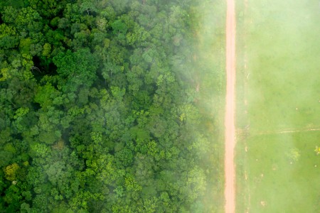 CIFOR's photo of agricultural deforestation in Brazil
