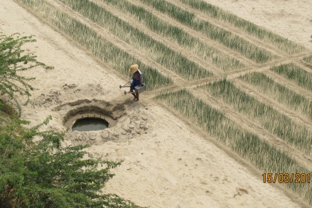 A farmer collecting water to irrigate crops in Myanmar's Dry Zone.
