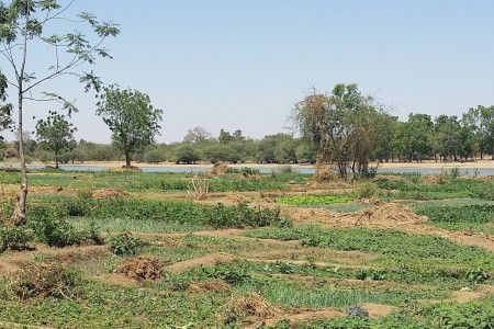 Agriculture in Burkina Faso