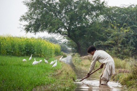 Man digging in stream in Pakistan