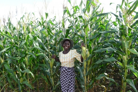 Farmer leader in conservation agriculture, Malawi