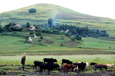 Farming in the highlands of Ethiopia.