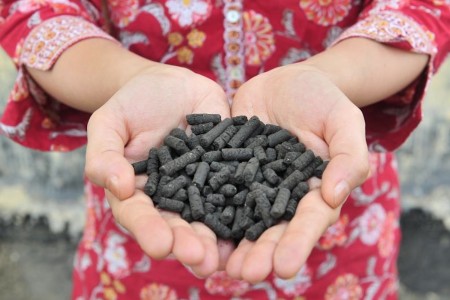 Safe fertilizer pellets made from processed human waste.