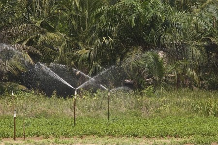 Irrigation in West Africa