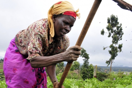 Farmer at work in the Mount Kenya region. 