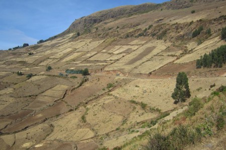 Degraded marginal lands in Ethiopia