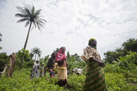 Nigerian female farmers