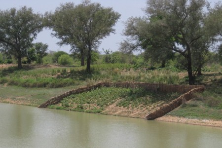 Farming on the banks of a river in Burkina Faso.