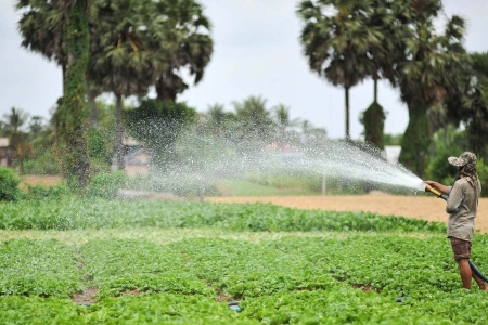 A farmer uses groundwater for irrigation in Kandal Province, Cambodia.