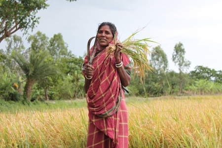 A West Bengali woman harvesting her crops. UN Women/Ashutosh Negi.