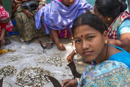 Women clean small fish in Bangladesh. 