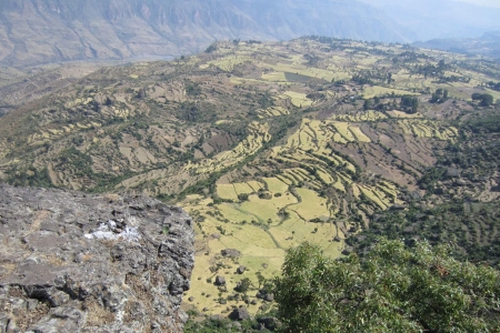 Terraces and water erosion Ethiopia