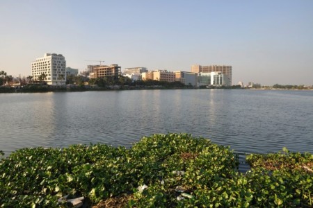 Urban wetland Kolkata