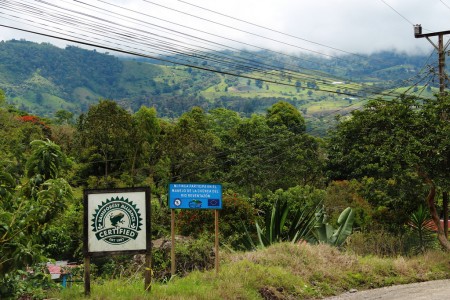 Rainforest alliance-certified coffee farms