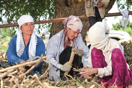 Many Central Asian women are forced to take on agricultural wage labor under informal and volatile agreements.